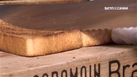 神器,吐司,缺貨,蒸氣,代購,達人,美味