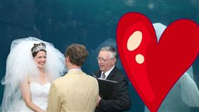 美國,水族館,小白鯨,婚禮,結婚／《Boredpanda》網站