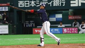 中職聯隊王柏融兩分砲（圖／中職提供）