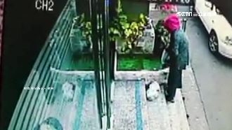 景觀池放生魚　店家嘆：快領回你的魚