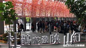 2017台北杜鵑花季,旅遊,賞花,台北市市花。（圖／記者簡佑庭攝）