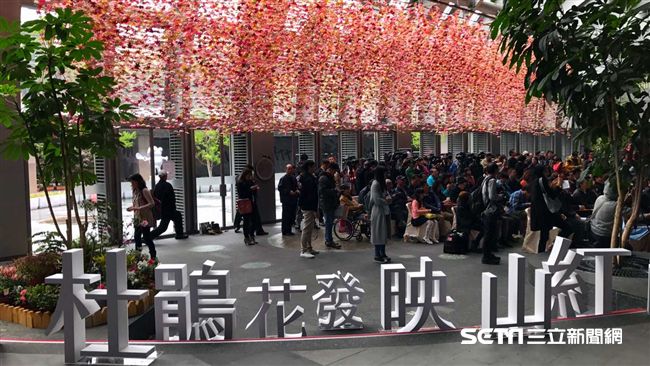 市區賞花兼野餐　台北杜鵑花季開跑