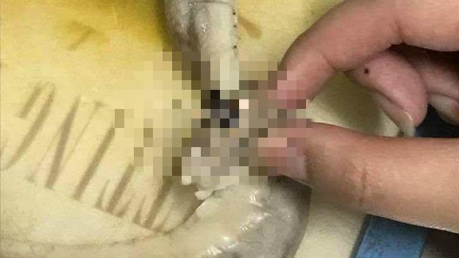 粉腸內看到這畫面　網友全嚇傻...