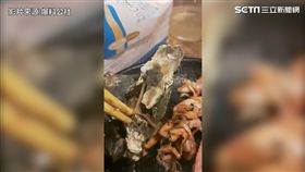 吃生蠔卻拉出這一條　網友：有青才有
