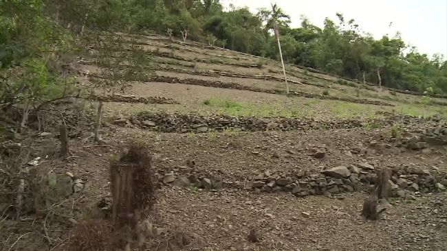 台東違法山林濫墾　最美多良車站遭毀