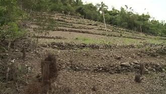台東違法山林濫墾　最美多良車站遭毀