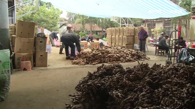 發愛心財？老薑爺爺爆薑非自種是批發