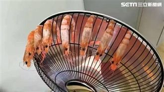 超越辦公室吃貨　她居然這樣做...