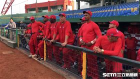 經典賽古巴隊來台打熱身賽（圖／記者陳怡汝攝）