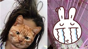 洗頭,洗澡,懲罰,籠子,女友,靠北女友　圖／翻攝自臉書