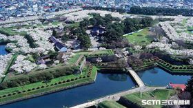 hotels.com推薦日本人賞櫻秘境,北海道,岡山,鹿兒島。（圖／hotels.com提供）