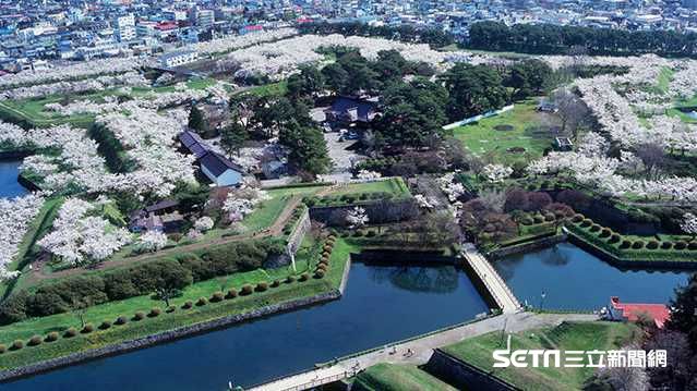 京都大阪落伍？日本人賞櫻原來都去這
