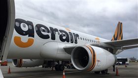 虎航（圖／陳怡汝提供）