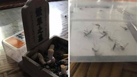 圖／翻攝自爆料公社