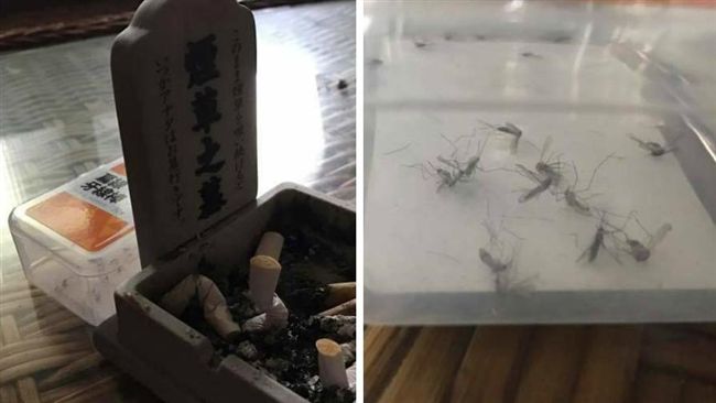 女兒被蚊子叮　他供棺木向家屬索命