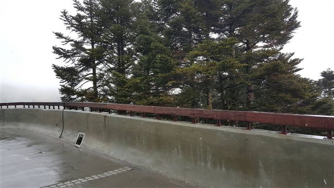 水氣遇高山低溫　合歡山短暫飄雪夾雨