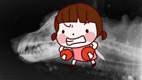  英國,安樂死,獸醫,鐵釘,長釘,Scamp,英鎊,史蓋,土,夫婦,虐待 圖／Guardian https://goo.gl/WJjCQO