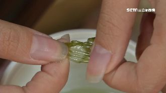 這紫菜湯怪怪的　顧客：拉不斷像塑膠