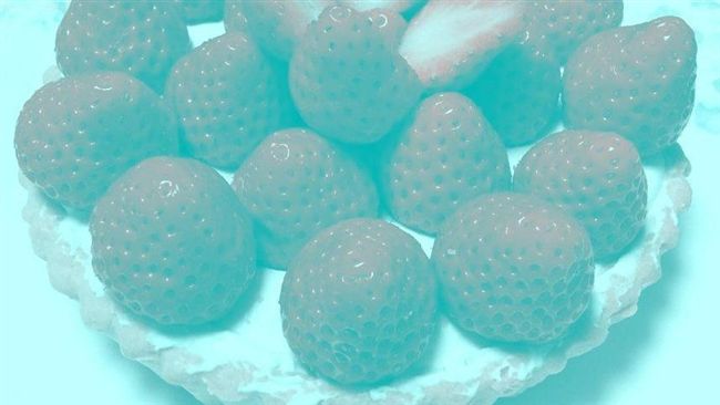 這草莓是什麼顏色的？答案網友全傻眼