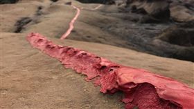 野柳風景區,北海岸,紅漆,油漆／Pochang Wu臉書