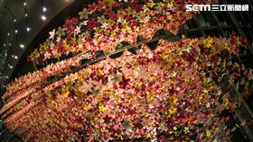 大安森林公園站因應杜鵑花季，多了新的裝置藝術。（圖／台北捷運提供）