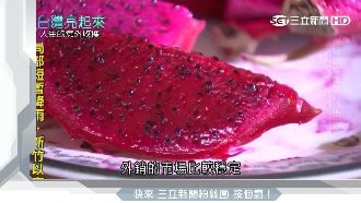 發明王轉種火龍果　獨創咖啡渣當肥料