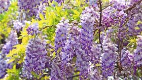 台灣旅遊誌(圖片版權屬於滔客線上雜誌)