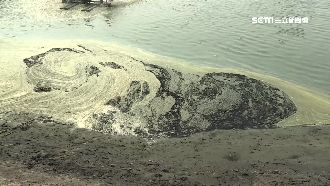 黑粉塵害魚塭一夕染黑　禍首又是他