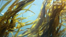 海洋醫學19 091116E1819