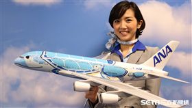 ANA全日空空輸彩繪機,A380,海龜家庭,海龜機, Flying Honu。（圖／ANA提供）