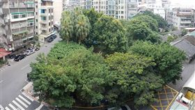 台北市又有老樹被砍　居民：我們是活的樹！（圖／翻攝臉書）