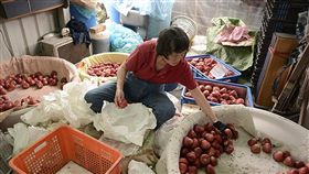 遠見雜誌／吃不起的未來恐成真？