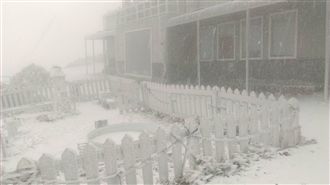 全台濕冷低溫　玉山8時降雪了！