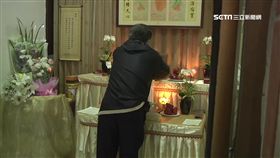 小模,頭七,陳姓小模,女模 