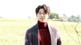 「鬼怪」確定訪台　孔劉見面會4月29日新莊登場 圖/翻攝自臉書