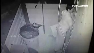 東港慣竊專破門　同排住戶偷不停