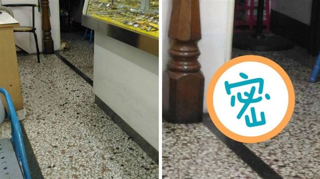 鐘錶店看門犬　竟這樣狂吠可疑人物