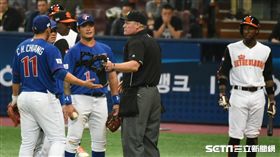 中華隊,WBC,荷蘭,經典賽 圖／記者林敬旻攝