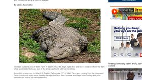 射殺辛巴威巨鱷 胃內赫然發現人體遺骸／翻攝自辛巴威大報「新聞日報」（NewsDay）