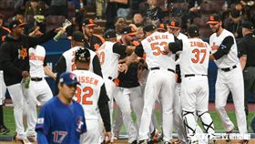 中華隊,WBC,荷蘭,經典賽 圖／記者林敬旻攝