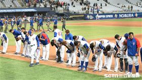 經典賽,WBC,中華隊以色列 圖／記者林敬旻攝