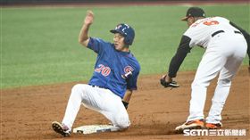 WBC,中華隊,荷蘭隊,經典賽,林琨笙 圖／記者林敬旻攝