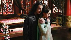 ▲至今點擊率破300億的正版《三生三世十里桃花》。（圖／取自《三生三世十里桃花》官方臉書）