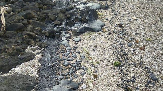 綠島遭重油汙染　詹順貴：徹查到底