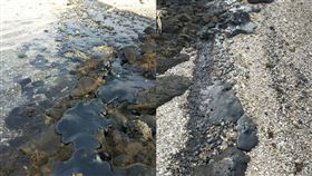 綠島海岸線遭汙染 環保單位忙清除 俞明宏臉書