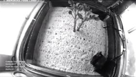 火星,馬鈴薯,秘魯,環境,實驗,發芽,電影,絕地救援,品種,太空(臉書 https://www.facebook.com/cipotato/videos/1593471127337185/)