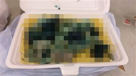 義大利麵,異國美食,香港,輻射,汙染,劣鳩飯堂,海鮮,紫薯,生化武器,餐盒　圖／劣鳩飯堂https://goo.gl/swvqqx