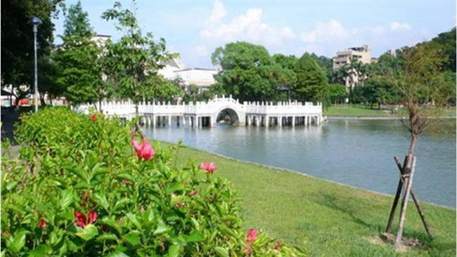 碧湖公園鴨禽屍　驗出禽流感H5亞型