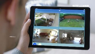 監視器奧斯卡！爆笑畫面爭奪最佳影片