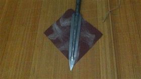 小狗被撞死！飼主持短矛殺紅眼 駕駛全家慘被滅門(圖/翻攝自騰訊網)
